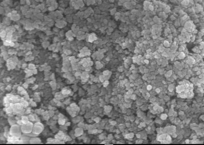 Graphene based nanocomposites